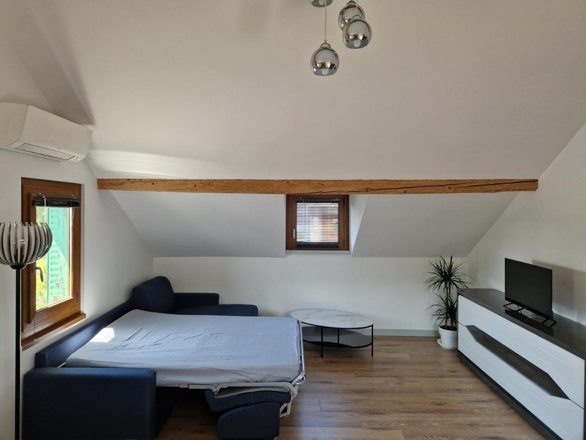Appartement F2 A 1Mn Du Lac Publier Екстер'єр фото